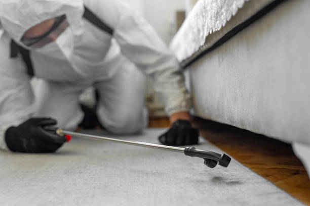 Professional Ant Control technician working in Lake Catherine, IL